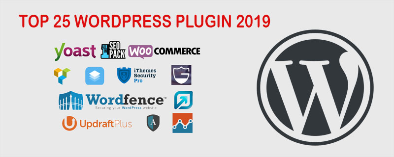 top wordpress plugins
